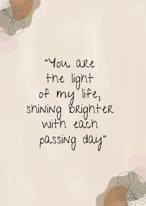 You are the light of my life, shining brighter with each passing day png